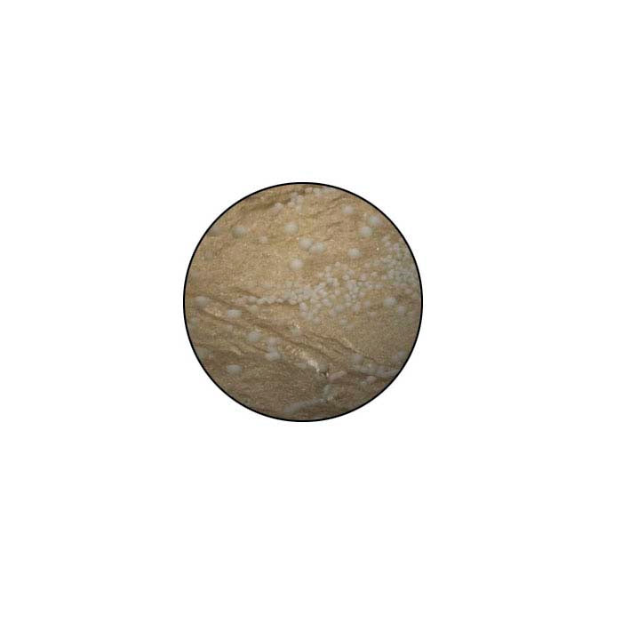 Gilders Paste, German Silver