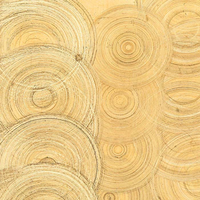 3M Roloc™ Borstenscheibe, 25,4 mm, Güteklasse 50, grün