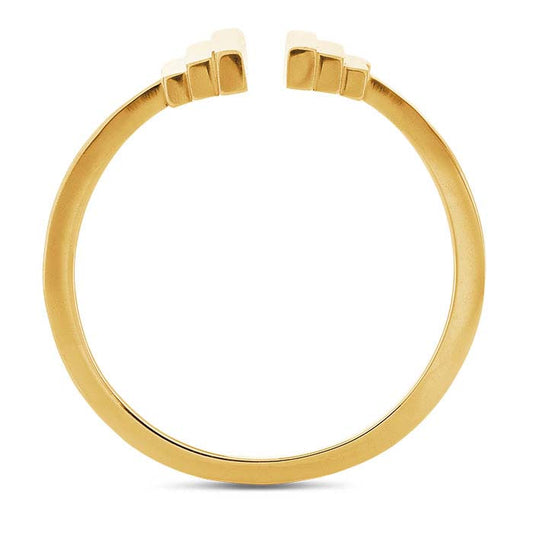 Anillo de derivación de barras escalonadas de bronce, ajustable