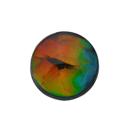 Korite Ammolite 8mm Round Triplet Cabochon