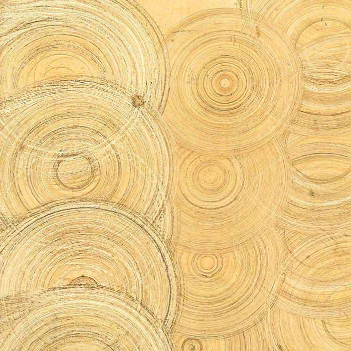 Roloc™ 25.4mm Bristle Disc