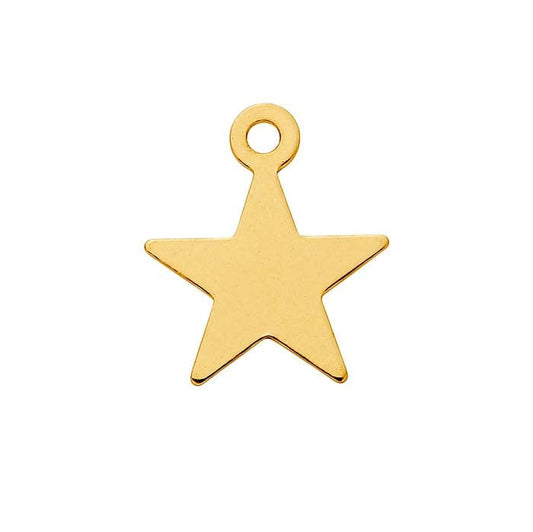 14/20 Guldpläterad Stjärnberlock