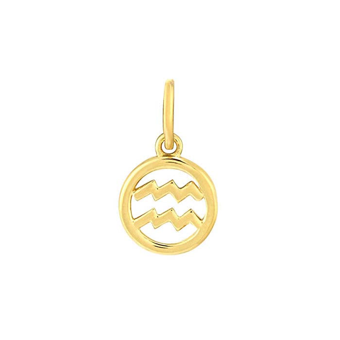 14K Yellow Gold Aquarius Charm