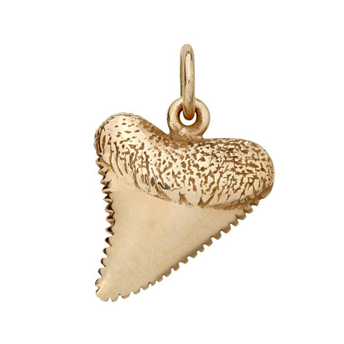 Ciondolo in Bronzo a Forma di Dente di Squalo 3D
