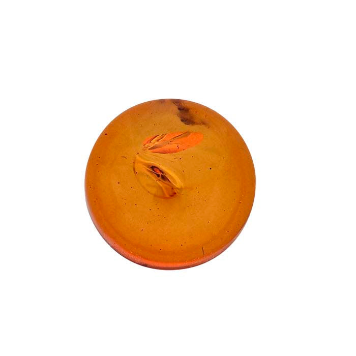 Amber  Round Cabochon