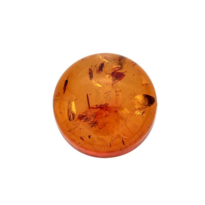 Amber  Round Cabochon