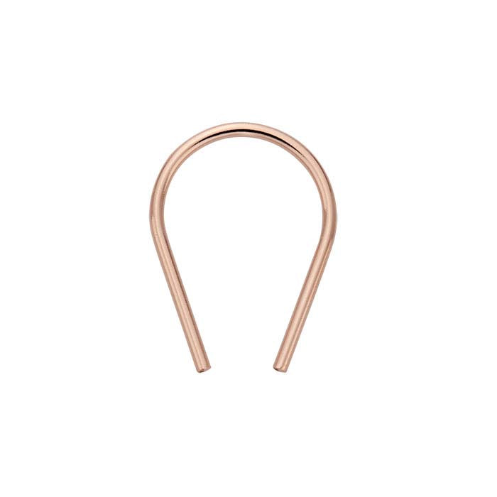 Horseshoe Ear Wire